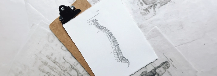 Chiropractic Downey CA Spine Sketch Chiropractic Downey CA Spine Sketch